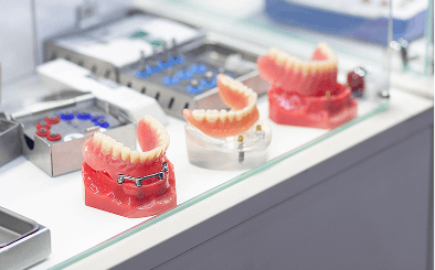 Dental prosthetics on display